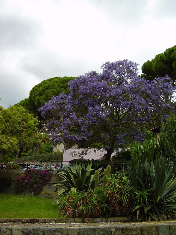 Hotel Aurora Bordighera Exterior foto